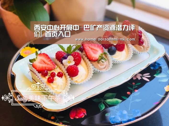 西安中心开展中-巴矿产资源潜力评价| 首页入口(图2) 首页入口