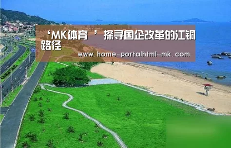 ‘MK体育 ’探寻国企改革的江铜路径(图1) MK体育