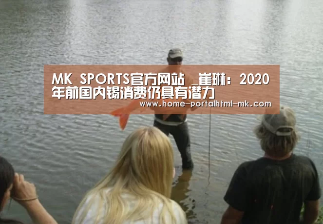 MK SPORTS官方网站 _崔琳:2020年前国内锡消费仍具有潜力(图2) 首页入口