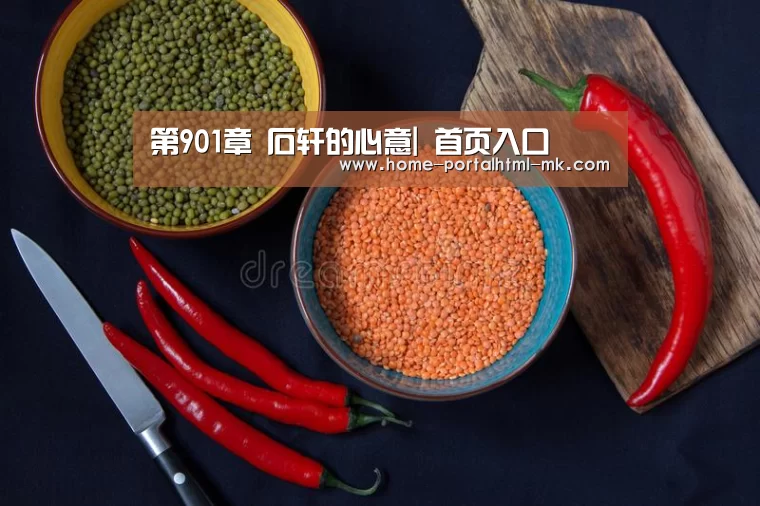 第901章 石轩的心意| 首页入口(图1) 首页入口