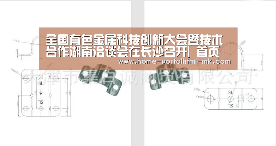 全国有色金属科技创新大会暨技术合作湖南洽谈会在长沙召开| 首页入口(图3) 首页入口